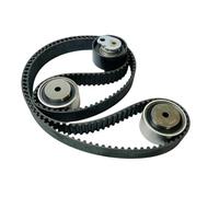 Kit Completo Catena Distribuzione E Cinghia Distribuzione Per Land Per Rover 3.0T Diesel 306DT V6 OLD OE LR016655 LR016656 Kit di riparazione della cinghia di distribuzione