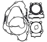Kit completo di guarnizione for revisione completa della testata del cilindro for motocicletta, adatto for 250 BJ250 BN251 2016-2019 TRK250(Overhaul mats)