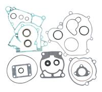 Kit Completo Di Guarnizioni Moose Racing 811485MSE Con Sigilli Dell'Olio