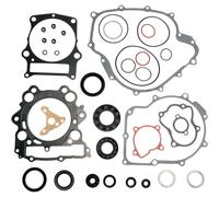 Kit Completo Di Guarnizioni Moose Racing 811865MSE Con Seals Per Olio