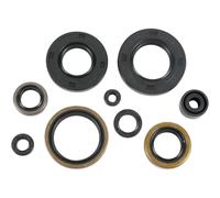 Kit Completo Di Guarnizioni Moose Racing Con Seals Per Olio #0934-5366