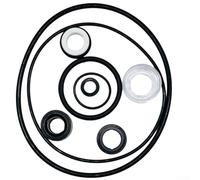 Kit completo di guarnizioni per pompa Hayward SP1580 Essential O per anelli per una manutenzione efficace della piscina