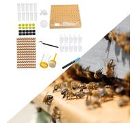 Kit completo di innesto per allevamento Bee Queen Forniture per apicoltura