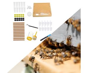 Kit completo di innesto per allevamento Bee Queen Forniture per apicoltura