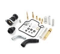 Kit Completo Di Revisione Carburatore, Primer E Starter Per TRX 450 Foreman 1998-2004