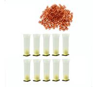 Kit completo di tazze per l'allevamento dei Queen Kit per le coppe delle api