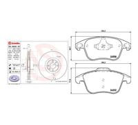 Kit completo: dischi ad alto contenuto di carbonio, pastiglie CITRON, DS DS