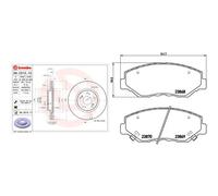 Kit completo: dischi ad alto contenuto di carbonio, pastiglie HONDA CIVIC X