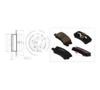 Set di pastiglie freno ABE C25010ABE, posteriore