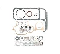 Kit completo guarnizioni, Motore REINZ 01-12612-52 per IVECO MK 4.086 1983-1989