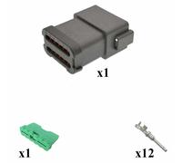 Kit connettore serie DT porta maschio 12 vie E003