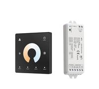 Kit controller dimmer for interruttore dimmer con controllo dimmer a 2 canali 12V 24V for LED(WT1 TW2)