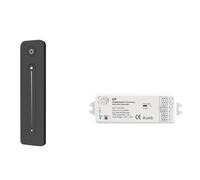 Kit controller LED DC 12V 24V dimmer a 4 canali con funzione di trasferimento automatico e telecomando(RF DIM Dimming KIT)