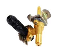Kit Controllo Conversione Gas Naturale Imperdibile per Appassionati di Grigliate