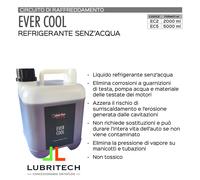 Sintoflon EVER COOL 5 litri Refrigerante SENZ'ACQUA Antigelo Radiatore EVERCOOL