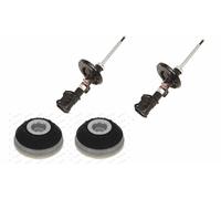 Magneti Marelli 351938070100 Ammortizzatore Anteriore a Gas, Destro