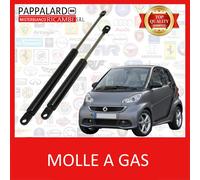 KIT COPPIA MOLLE GAS PORTELLONE COFANO POSTERIORE PER SMART 451 DAL 2007 IN POI