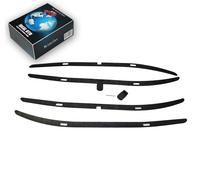 Kit Cornice e Clip Tenda Posteriore Sinistro Destro per BMW 5 E39 1995-2004...