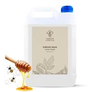 Kit Cortesia B&B Bagno Albergo Hotel Sapone Mani Tanica 5 Litri Made in Italy (Sapone Mani - Tanica 5L)