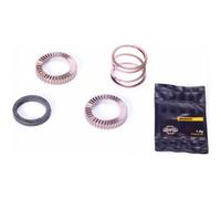 Mavic 2 Cricchetti 24t Con Kit Molle Mtb Id360