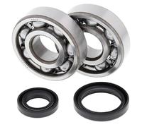 Kit cuscinetti albero motore All Balls per Suzuki RM 125 ccm anno di costruzione 1989-2012