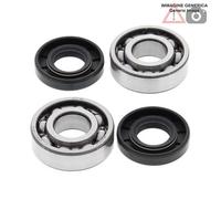 Kit cuscinetti albero motore Cobra 50cc CM 50 2004 - 2005 24-1100 ALL BALLS