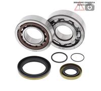 Kit cuscinetti albero motore Gas-Gas 250cc SM250 2003 - 2005 24-1115 ALL BALLS
