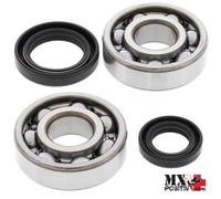 KIT CUSCINETTI ALBERO MOTORE HONDA CR 125R 1987 ALL BALLS 24-1003