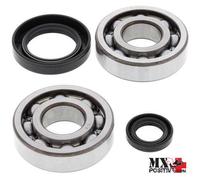 KIT CUSCINETTI ALBERO MOTORE HONDA CR 500R 1999-2001 ALL BALLS 24-1004