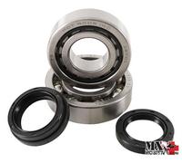 KIT CUSCINETTI ALBERO MOTORE HONDA TRX 450 R 2004-2005 HOT RODS K046