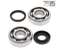 Kit cuscinetti albero motore Husqvarna 125cc WR125 2005 - 2007 24-1108 ALL BALLS