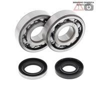 Kit cuscinetti albero motore Husqvarna 360cc WR360 1998 24-1109 ALL BALLS