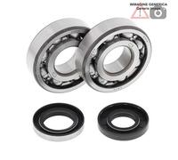 Kit cuscinetti albero motore Husqvarna 360cc WR360 2000 24-1109 ALL BALLS