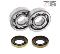 Kit cuscinetti albero motore Husqvarna 65cc CR 65 2012 24-1102 ALL BALLS