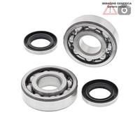Kit cuscinetti albero motore Kawasaki 200cc KDX200 1989 - 1990 24-1044 ALL BALLS