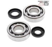 Kit cuscinetti albero motore Kawasaki 250cc KX250 1993 24-1010 ALL BALLS