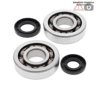 Kit cuscinetti albero motore Kawasaki 250cc KX250 2005 24-1047 ALL BALLS