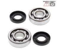Kit cuscinetti albero motore Kawasaki 85cc KX85 2005 - 2013 24-1006 ALL BALLS
