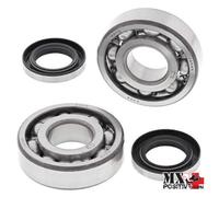 KIT CUSCINETTI ALBERO MOTORE KAWASAKI KDX 200 1985 ALL BALLS 24-1044