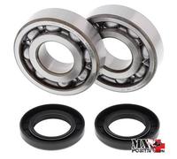 KIT CUSCINETTI ALBERO MOTORE KAWASAKI KX 500 1987 ALL BALLS 24-1011