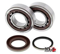 KIT CUSCINETTI ALBERO MOTORE KTM 250 SX-F 2005-2006 ALL BALLS 24-1105