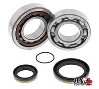 KIT CUSCINETTI ALBERO MOTORE KTM 300 XC-W 2016 ALL BALLS 24-1098