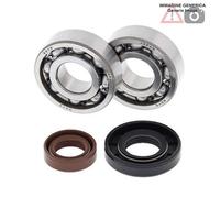 Kit cuscinetti albero motore KTM 50cc SX PRO JR 50 2007 - 2008 24-1101 ALL BALLS