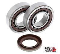 KIT CUSCINETTI ALBERO MOTORE KTM 525 SMR 2005 ALL BALLS 24-1106