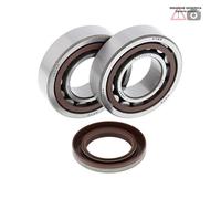 Kit cuscinetti albero motore KTM 525cc MXC-G 525 2004 24-1106 ALL BALLS