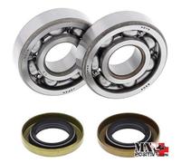 KIT CUSCINETTI ALBERO MOTORE KTM 65 SX 2001 ALL BALLS 24-1102