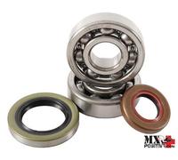 KIT CUSCINETTI ALBERO MOTORE KTM 65 XC 2009 HOT RODS K064
