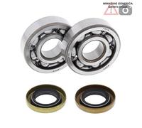 Kit cuscinetti albero motore KTM 65cc SX 65 2003 24-1102 ALL BALLS