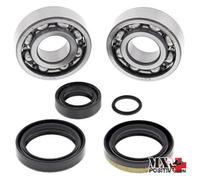 KIT CUSCINETTI ALBERO MOTORE KTM SX 50 MINI 2012-2014 ALL BALLS 24-1099