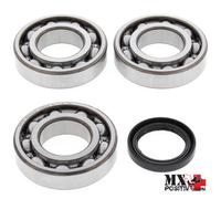 KIT CUSCINETTI ALBERO MOTORE POLARIS ATV 500 PRO 2002 ALL BALLS 24-1076